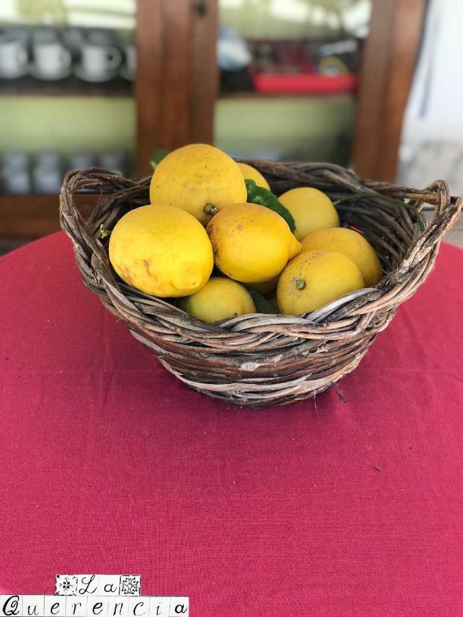 La Querencia Otel Palermo Dış mekan fotoğraf